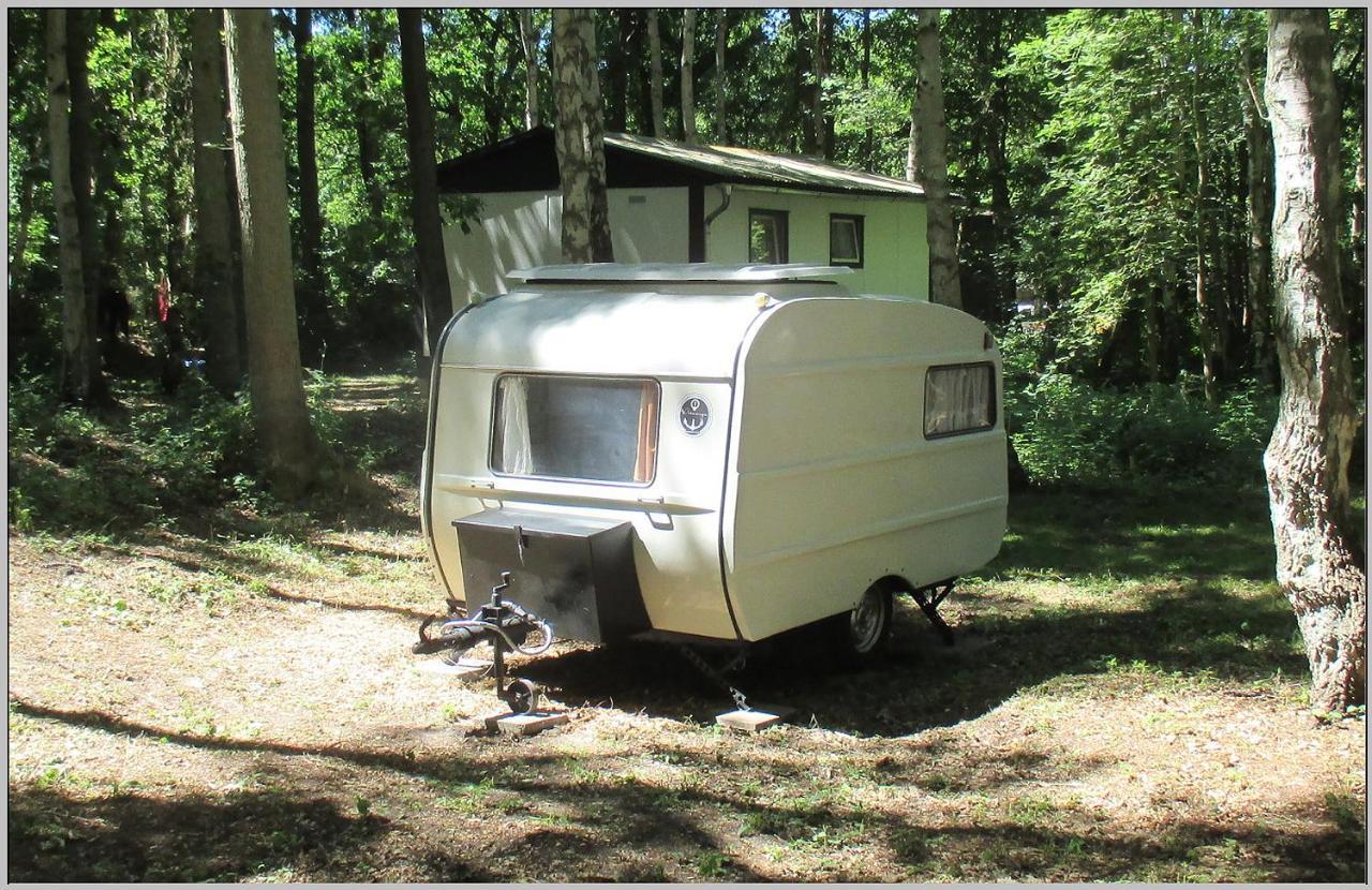 Ddr Wohnwagen Qek Direkt Am Strand ดรันส์เคอ ภายนอก รูปภาพ