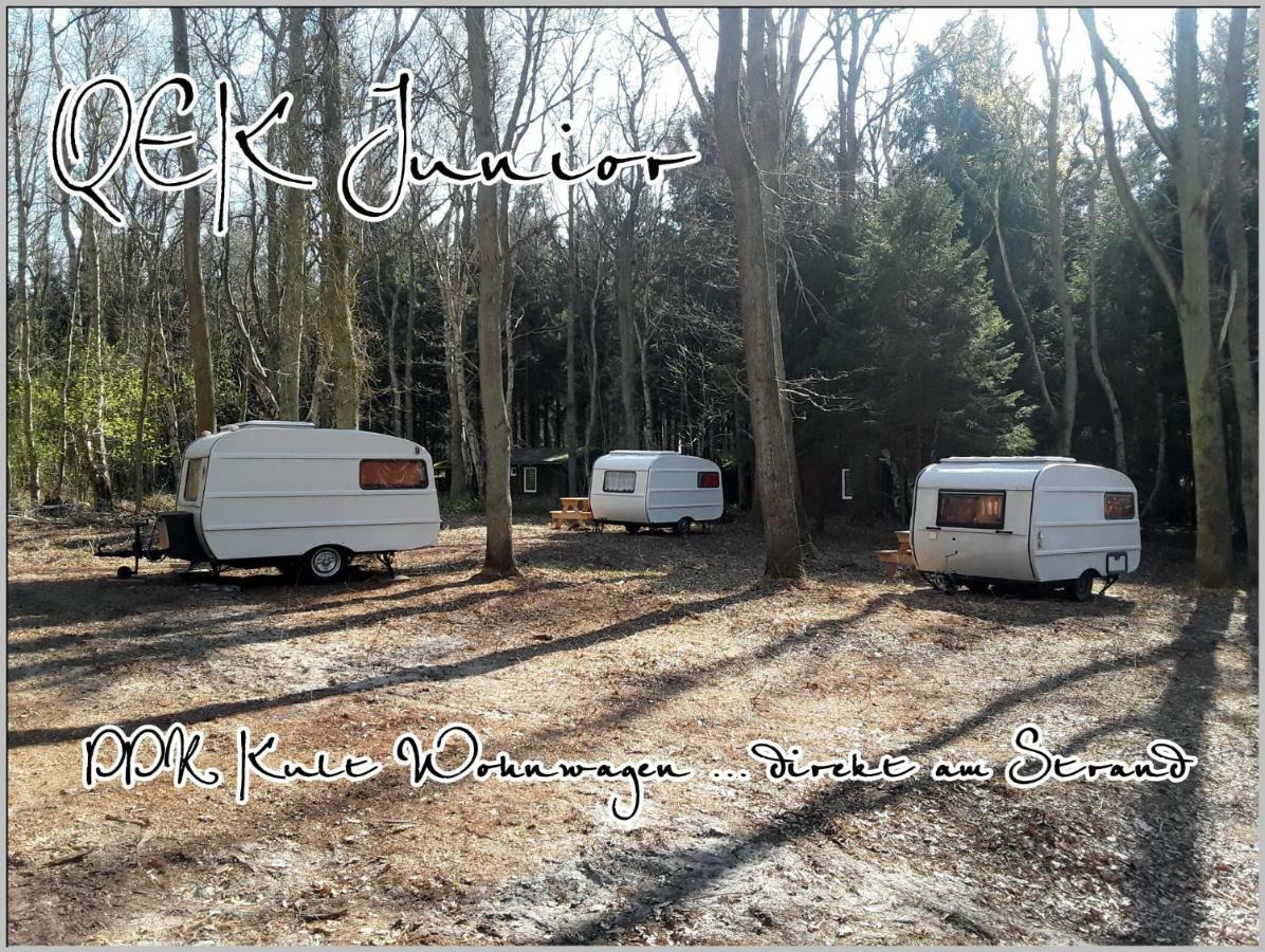Ddr Wohnwagen Qek Direkt Am Strand ดรันส์เคอ ภายนอก รูปภาพ